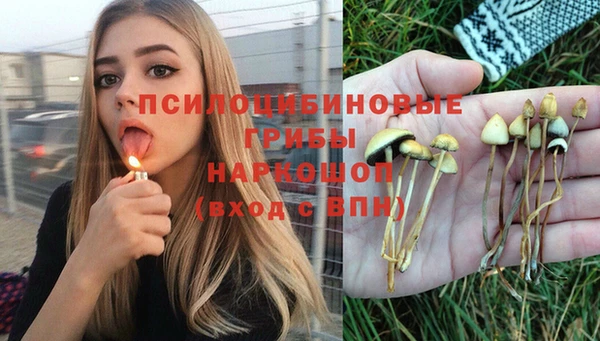 скорость Абаза