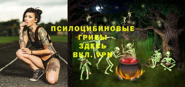 ECSTASY Абинск