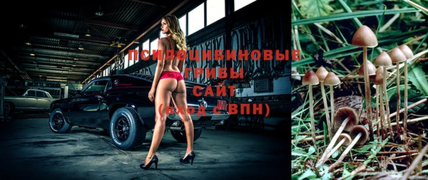 скорость Абаза
