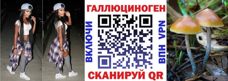 hydra ссылки  Троицк  Псилоцибиновые грибы мухоморы  как найти  